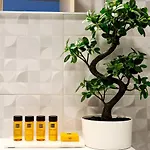 Apartmán Melia Năvodari